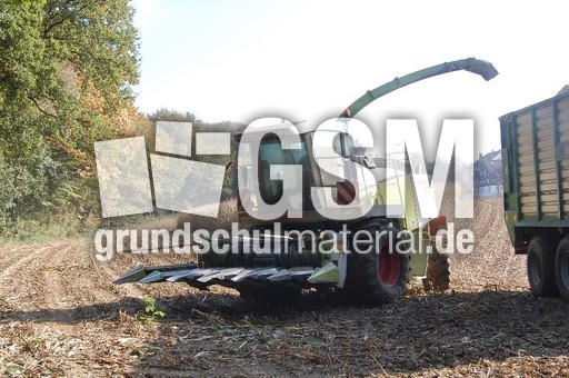 Mähdrescher_3.JPG